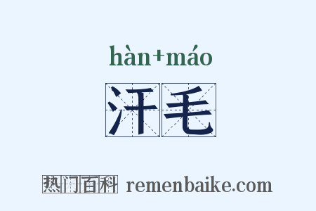 汗毛是什么意思的图片